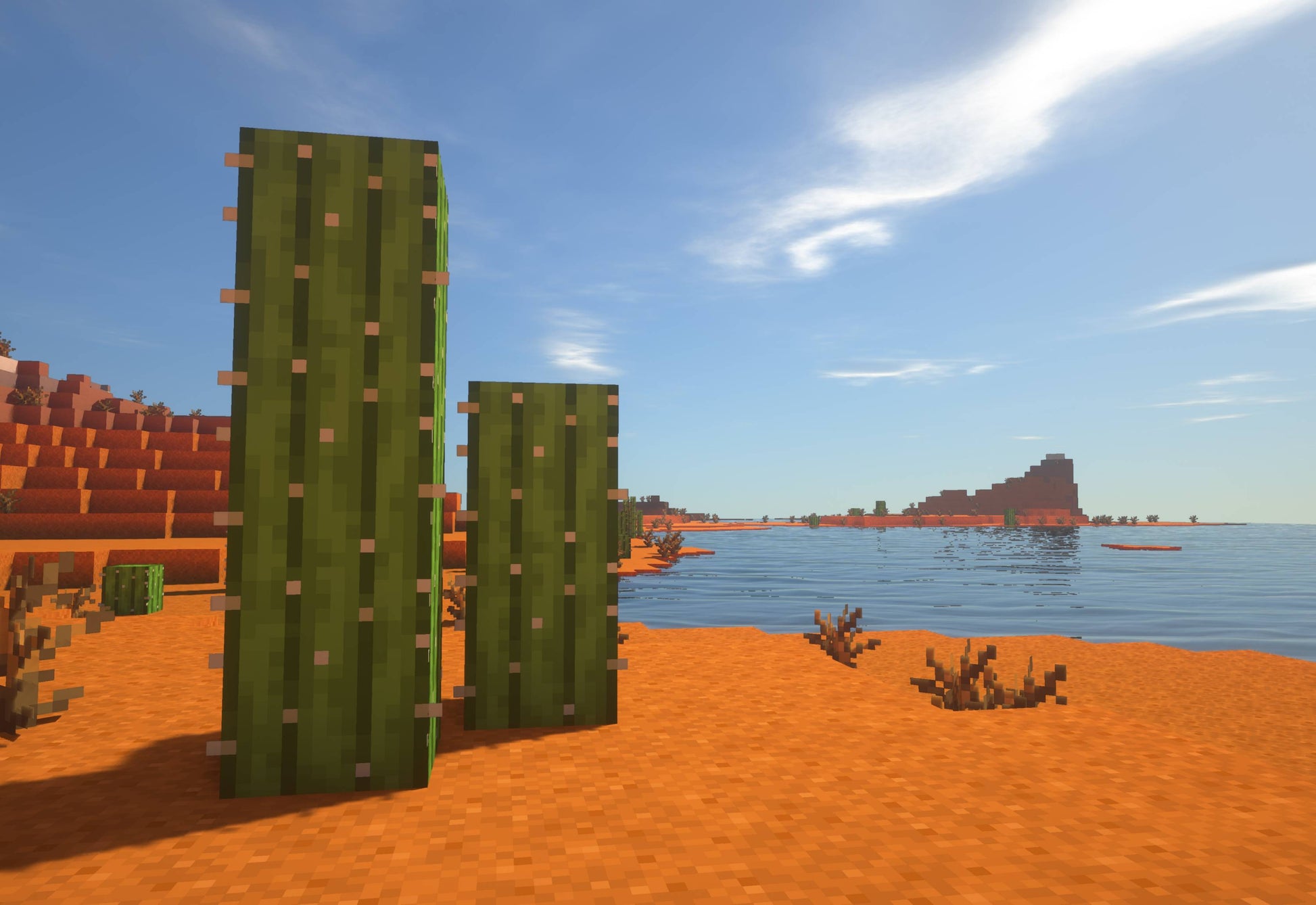 Cactus Shore - Fr4meX