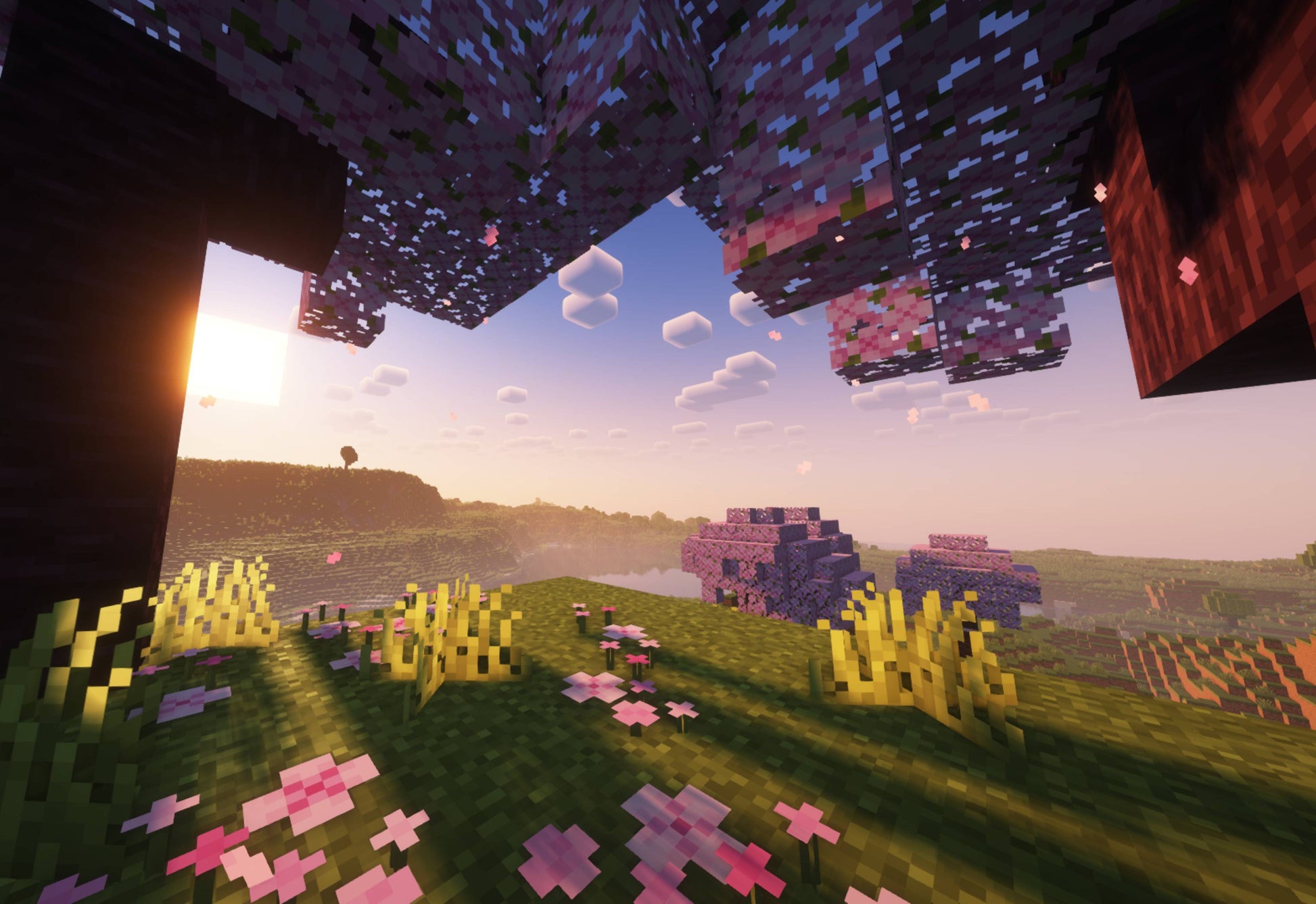 Blossom Horizon - Fr4meX