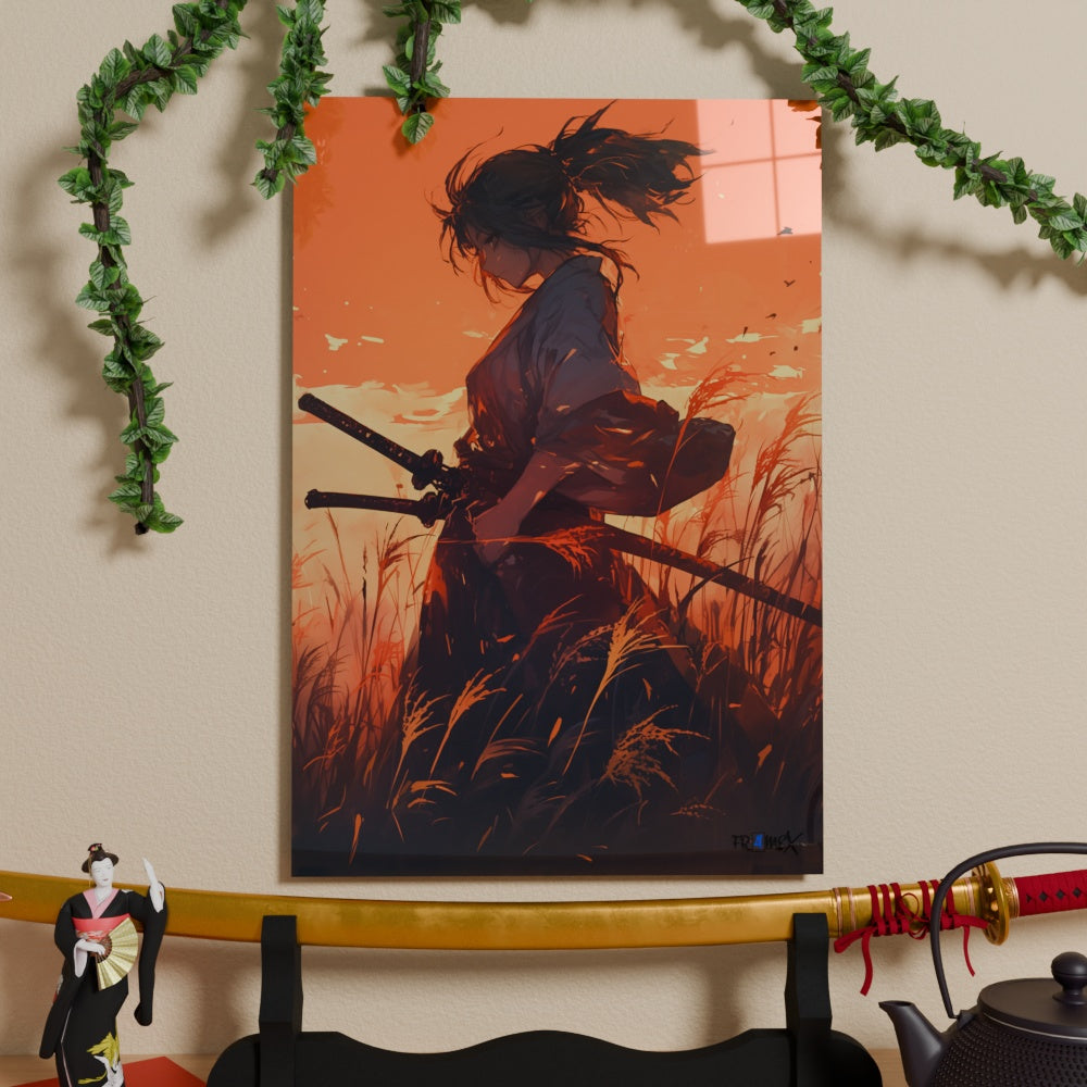 Echoes of the Wind - Fr4meX