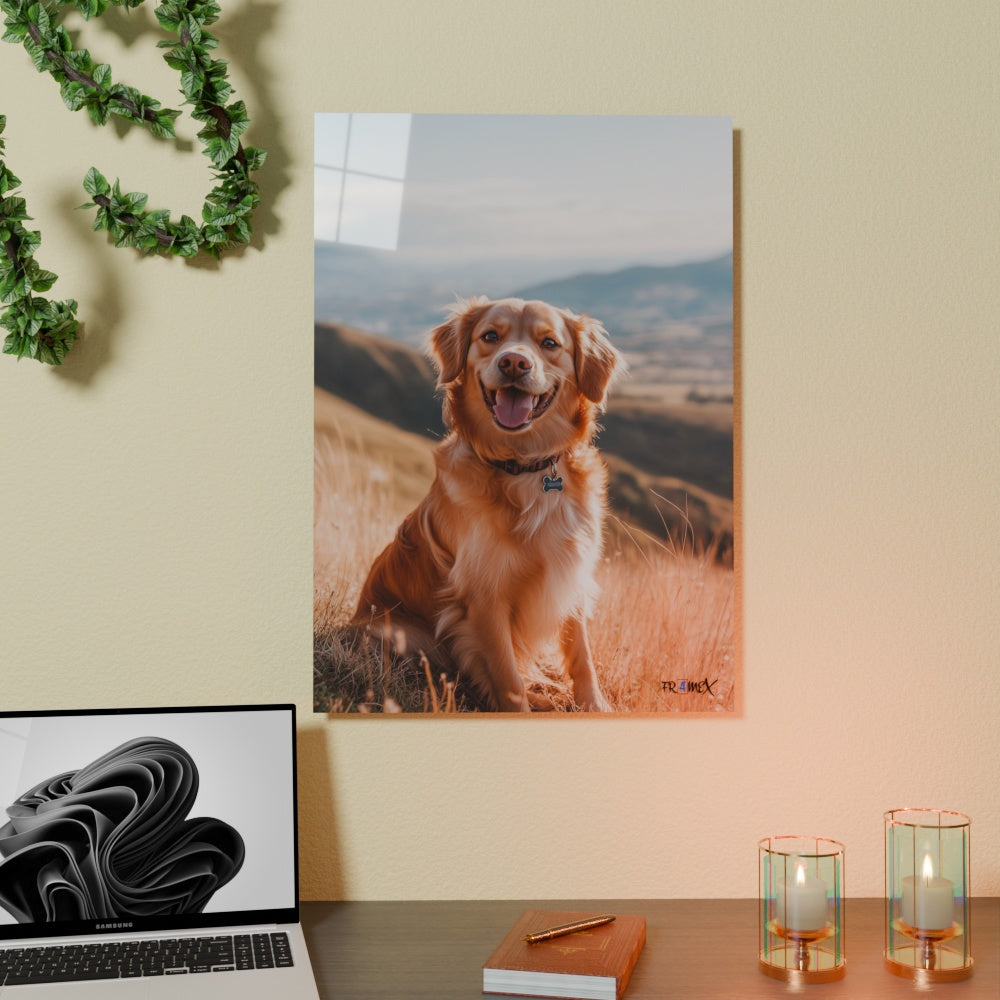 Golden Explorer - Fr4meX